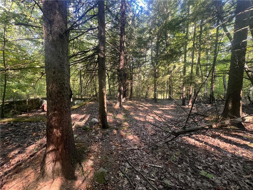 0 Rte 381 Rector Pa Rector, PA 15677 - Photo 16 of 21