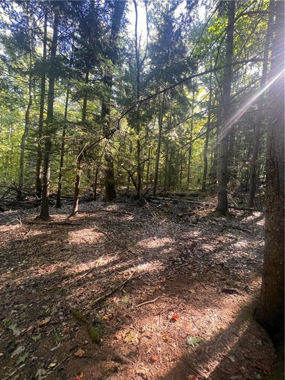 0 Rte 381 Rector Pa Rector, PA 15677 - Photo 17 of 21