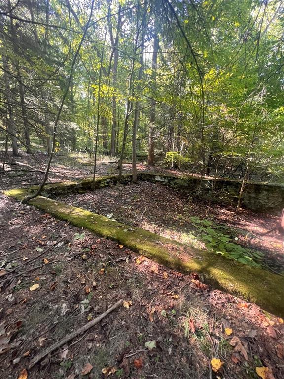 0 Rte 381 Rector Pa Rector, PA 15677 - Photo 18 of 21