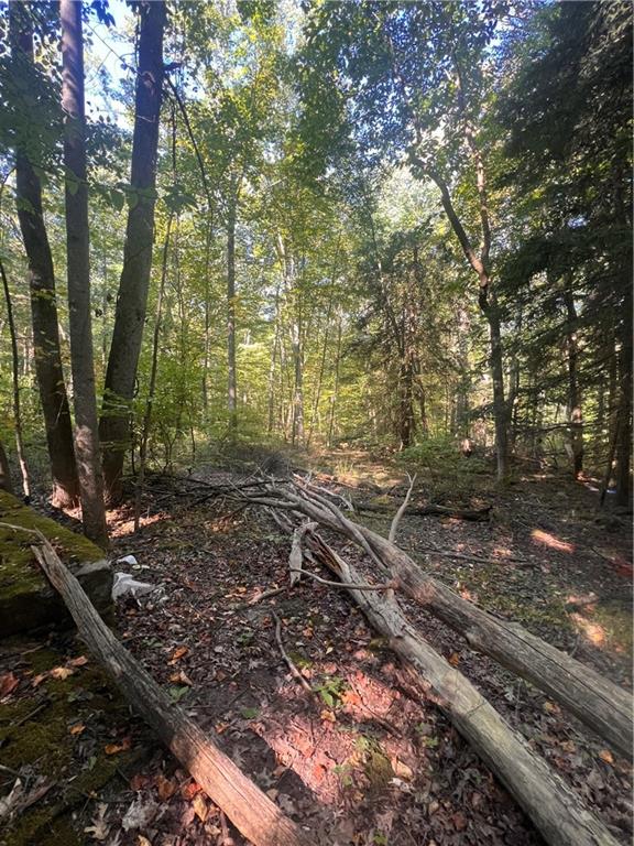 0 Rte 381 Rector Pa Rector, PA 15677 - Photo 19 of 21