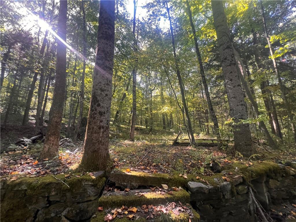 0 Rte 381 Rector Pa Rector, PA 15677 - Photo 20 of 21