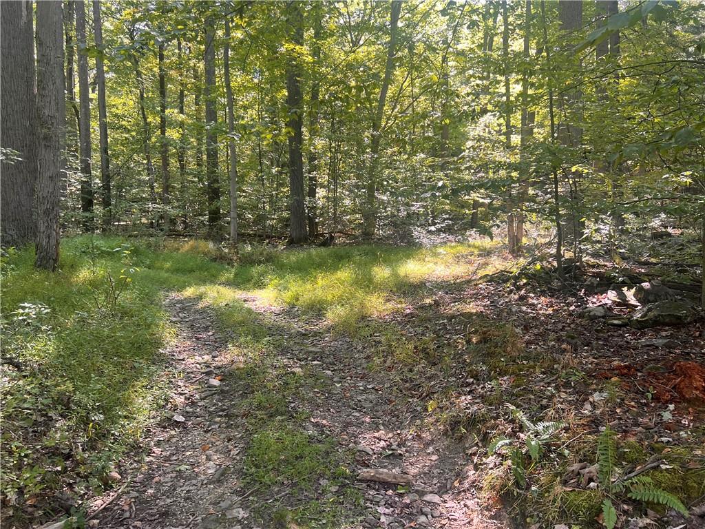 0 Rte 381 Rector Pa Rector, PA 15677 - Photo 2 of 21