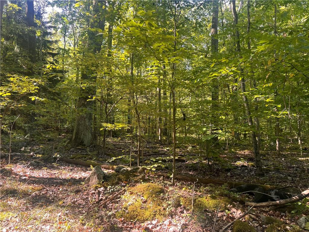 0 Rte 381 Rector Pa Rector, PA 15677 - Photo 21 of 21