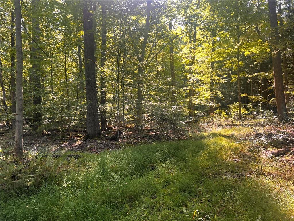 0 Rte 381 Rector Pa Rector, PA 15677 - Photo 3 of 21