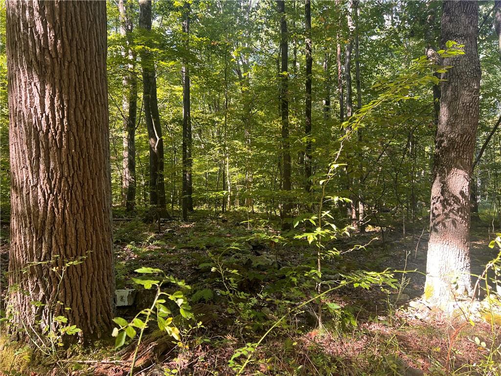 0 Rte 381 Rector Pa Rector, PA 15677 - Photo 4 of 21