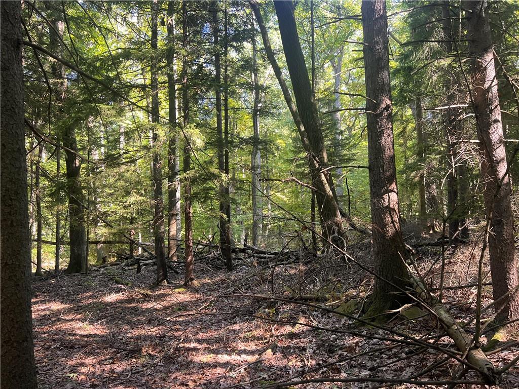 0 Rte 381 Rector Pa Rector, PA 15677 - Photo 5 of 21