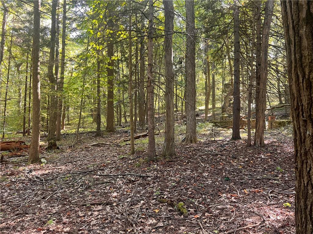 0 Rte 381 Rector Pa Rector, PA 15677 - Photo 6 of 21