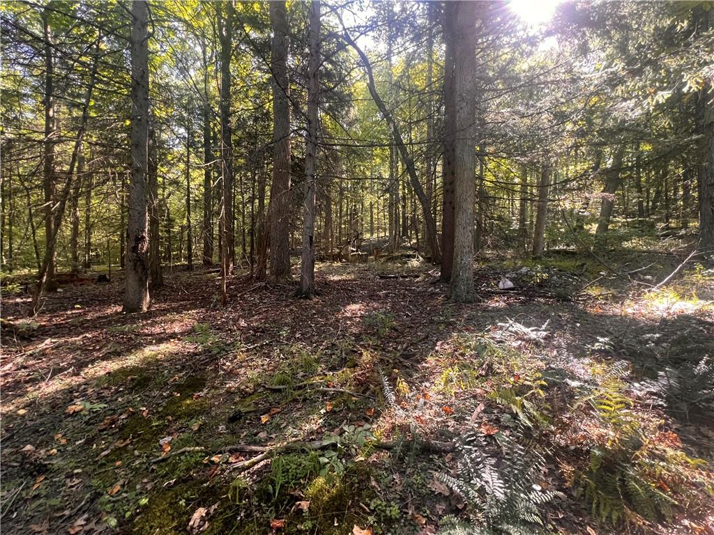 0 Rte 381 Rector Pa Rector, PA 15677 - Photo 7 of 21