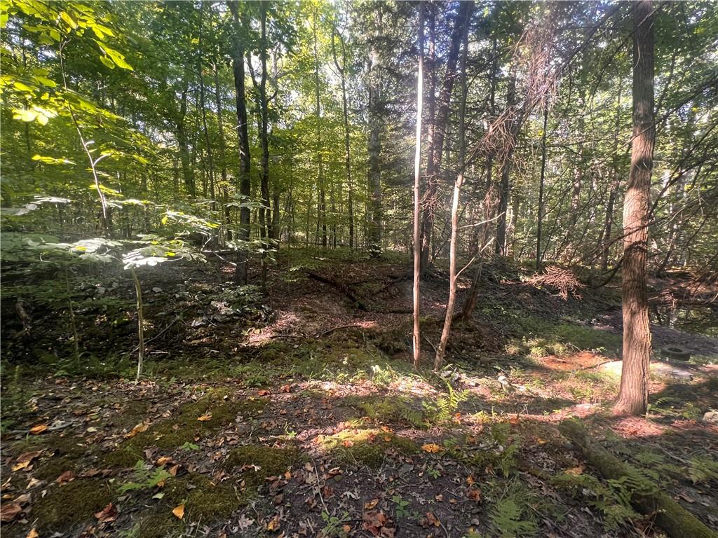 0 Rte 381 Rector Pa Rector, PA 15677 - Photo 8 of 21