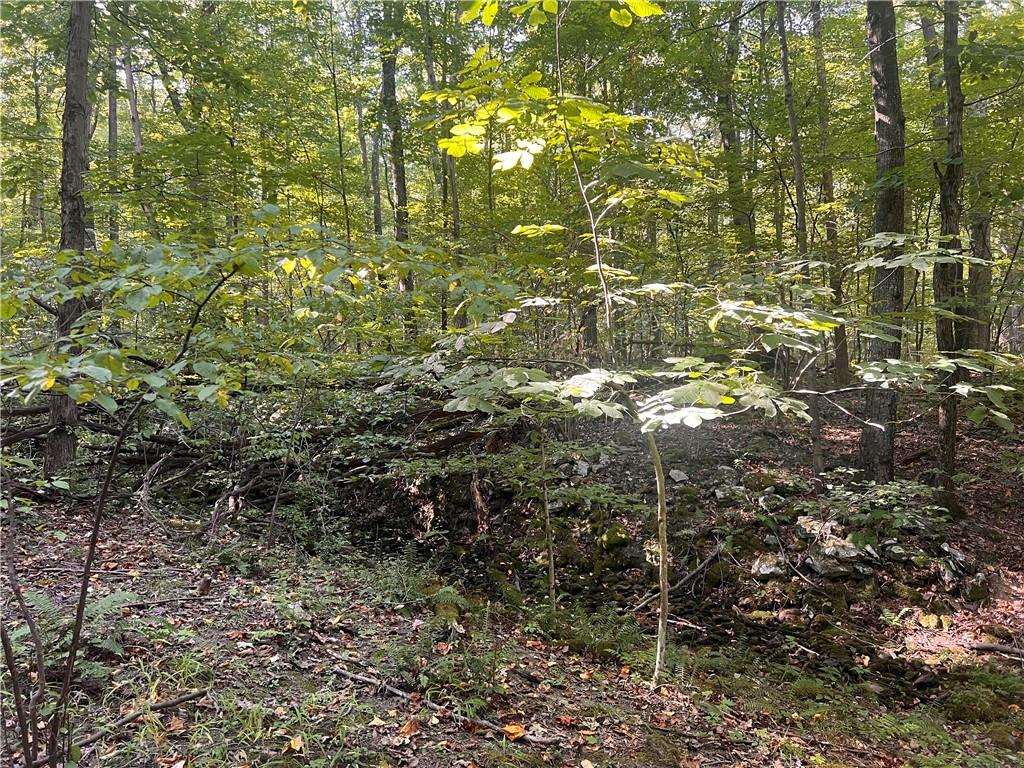 0 Rte 381 Rector Pa Rector, PA 15677 - Photo 9 of 21