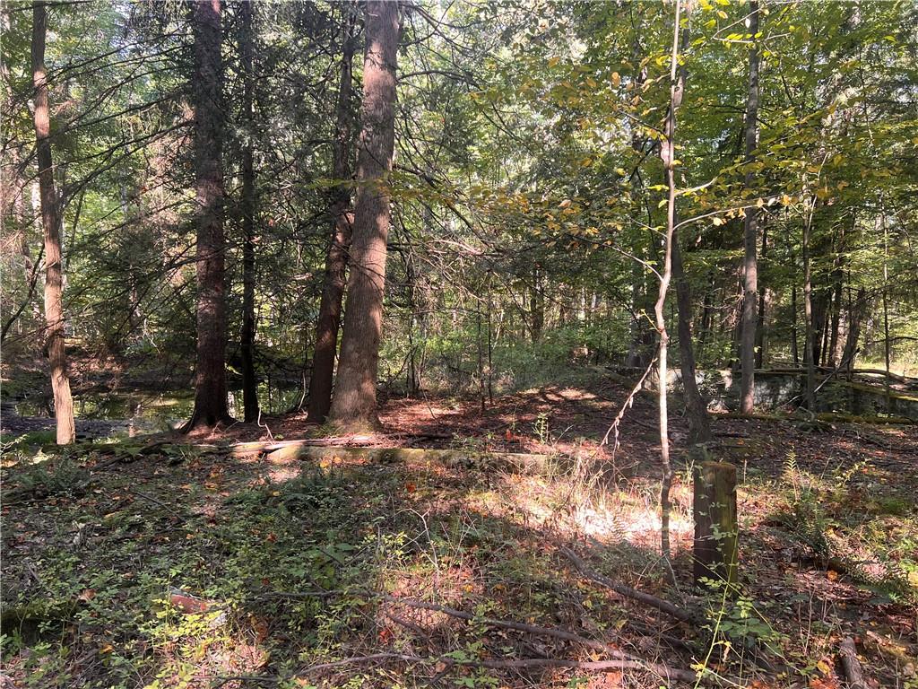 0 Rte 381 Rector Pa Rector, PA 15677 - Photo 10 of 21