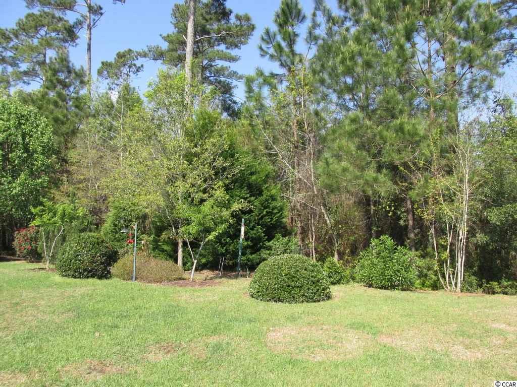 40 Bear Creek Loop Murrells Inlet, SC 29576 - Photo 2 of 25 Gallery Image 2