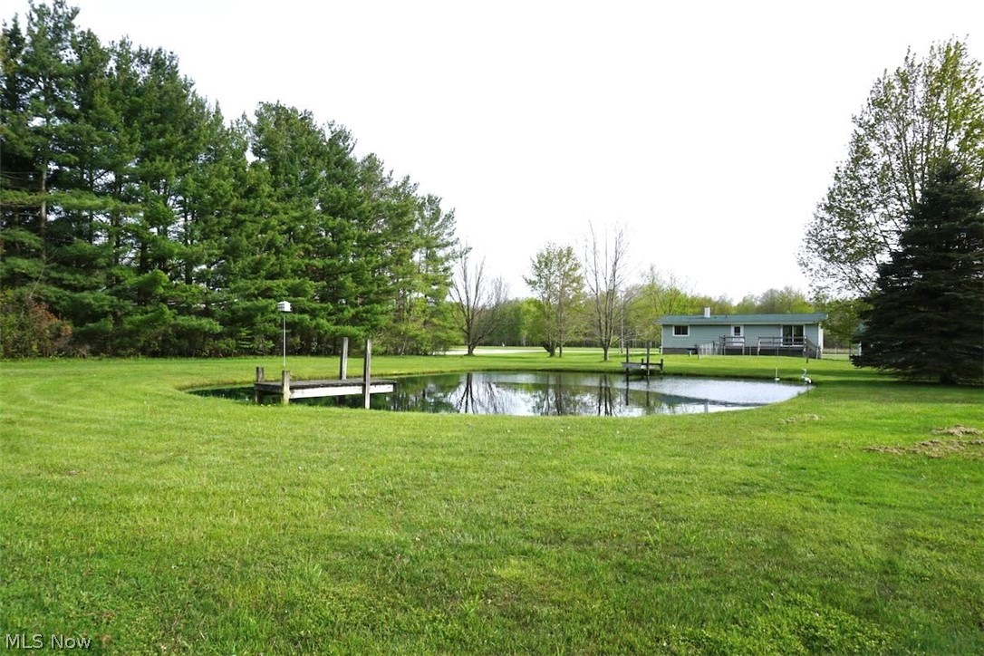 5875 Trumbull Road Geneva, OH 44041 - Photo 26 of 33 Spacious rear yard