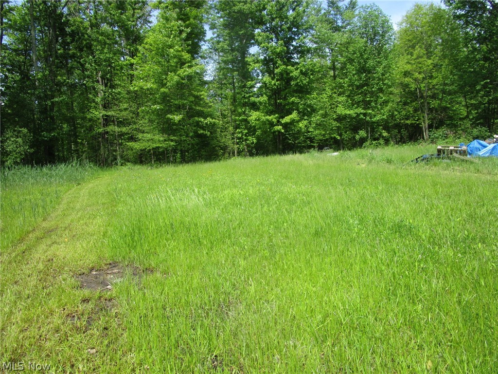 Vl Doyle Road Jefferson, OH 44047 - Photo 33 of 42