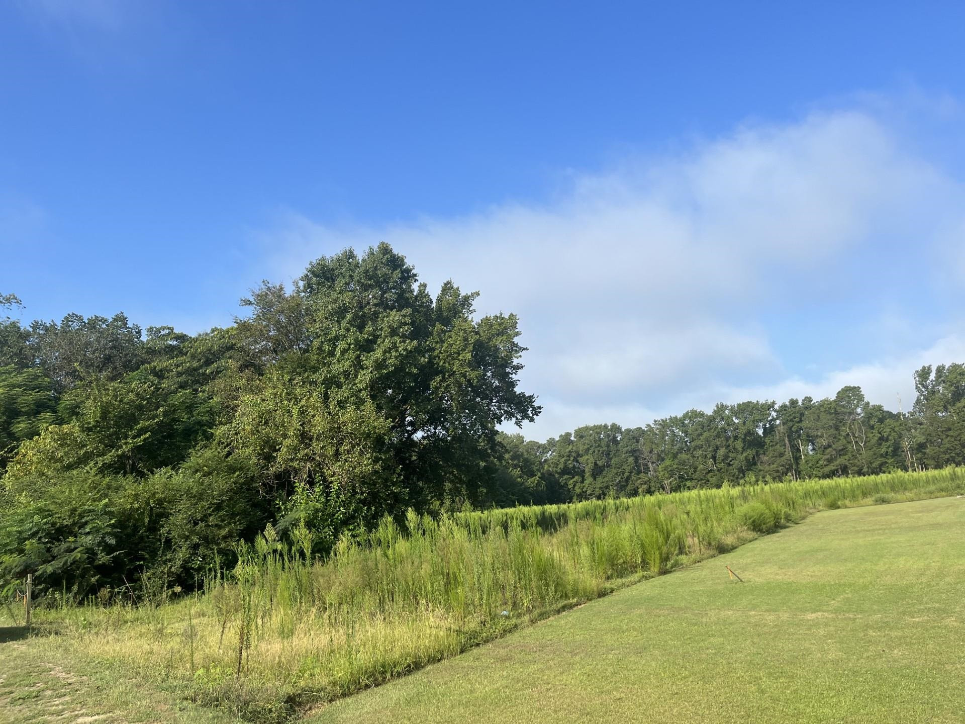 Isaac Weeks Road Clinton, NC 28328 - Photo 3 of 4 Photo 3