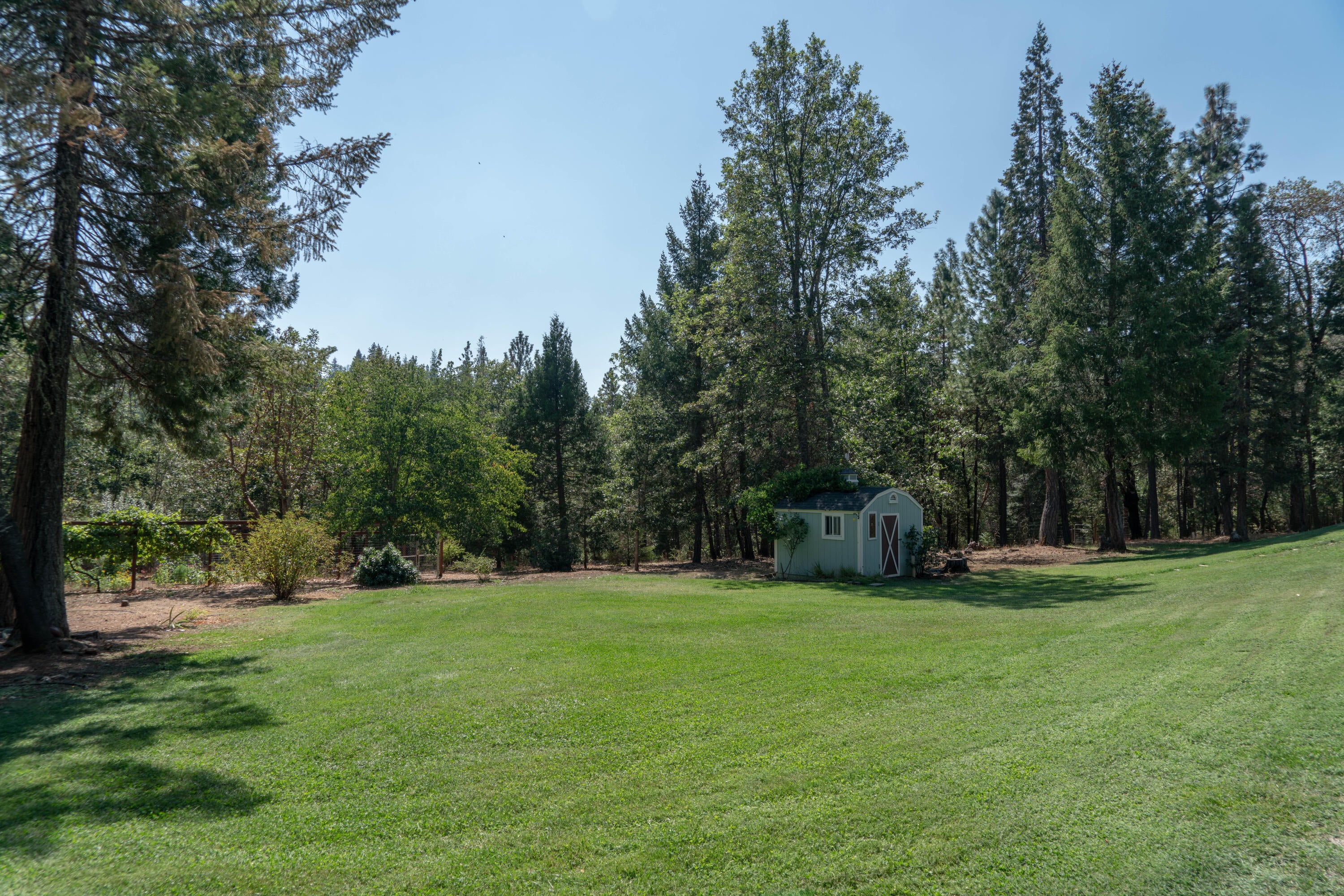 4179 Ditch Creek Road Rogue River, OR 97537 - Photo 29 of 50 DSC05685