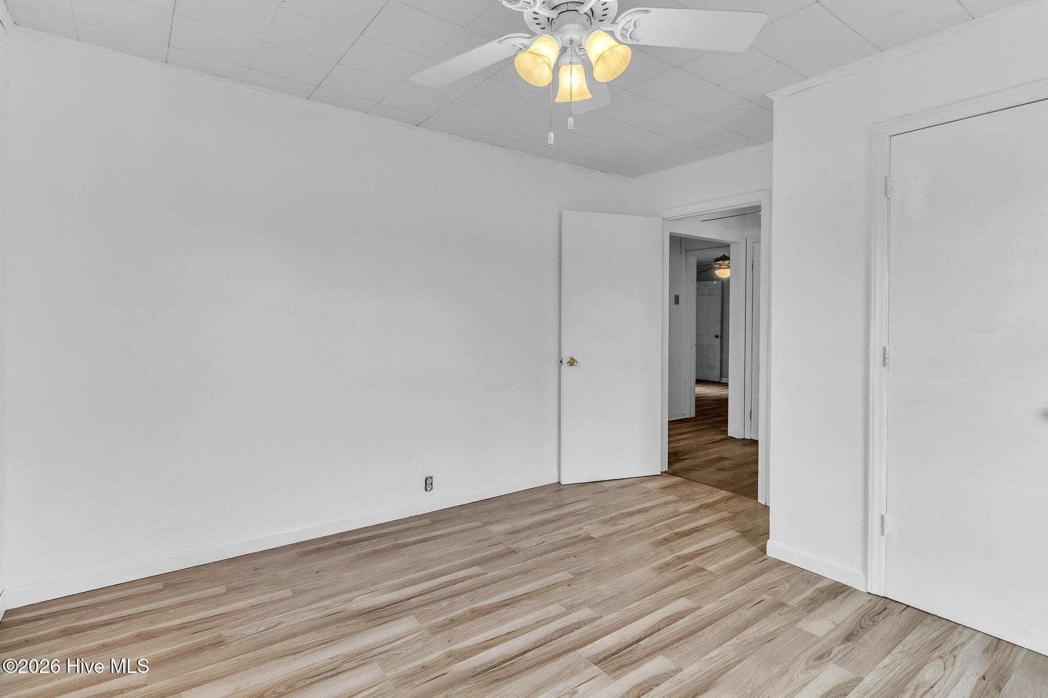 6987 Albert Street Elizabethtown, NC 28337 - Photo 17 of 44 Bedroom 1