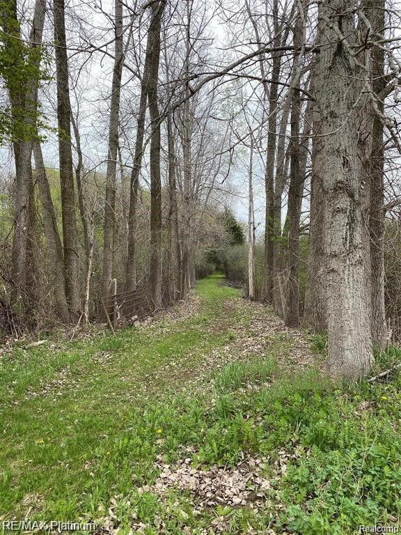 0 Joey Drive Pinckney, MI 48169 - Photo 1 of 5