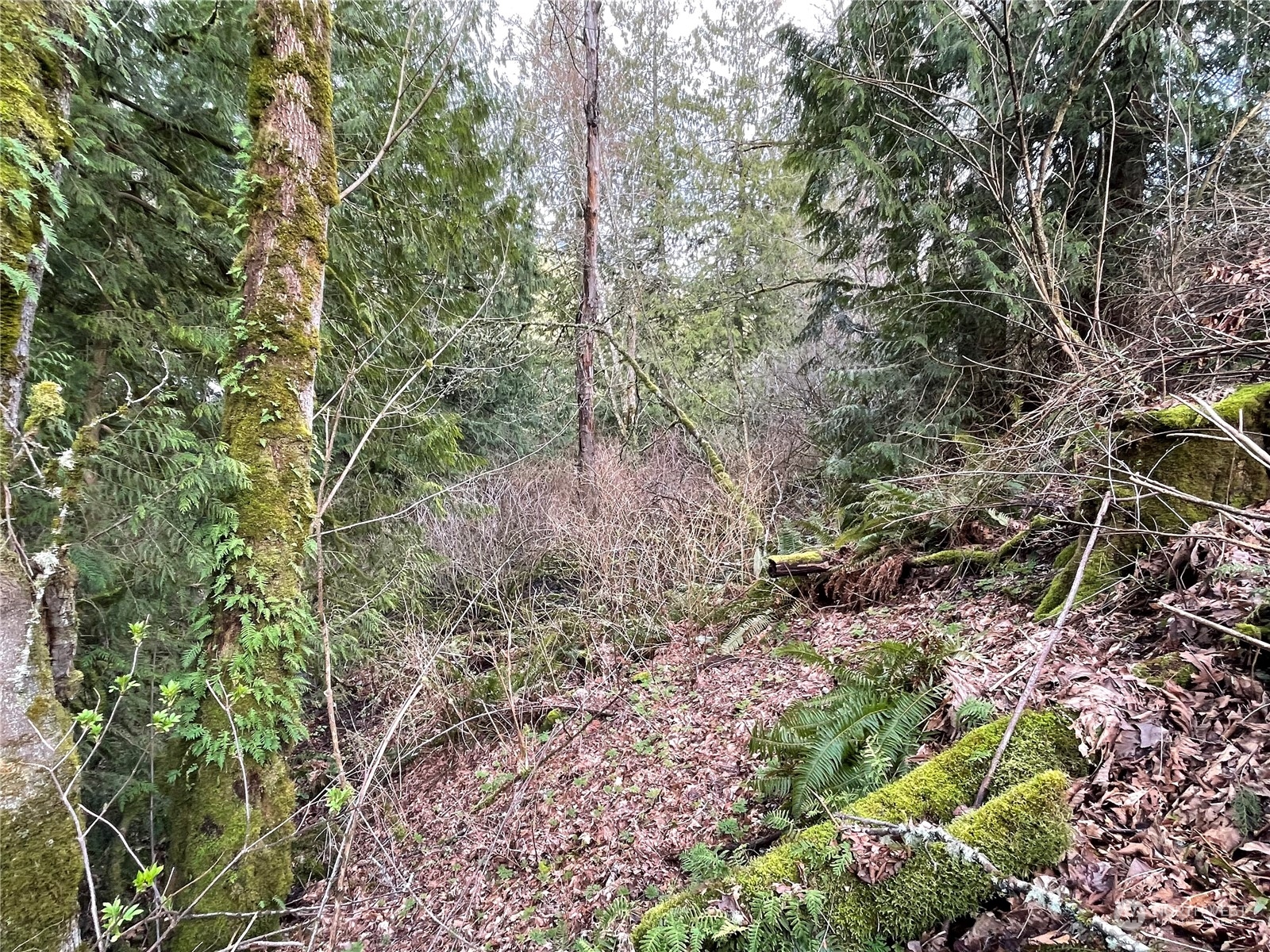 35 State Rte 20 Tonasket, WA 98855 - Photo 21 of 24 Gallery Image 21