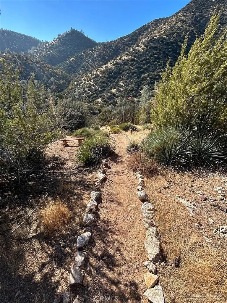 0 Zackery Road Caliente, CA 93518 - Photo 24 of 26 a view of a forest with trees in the background