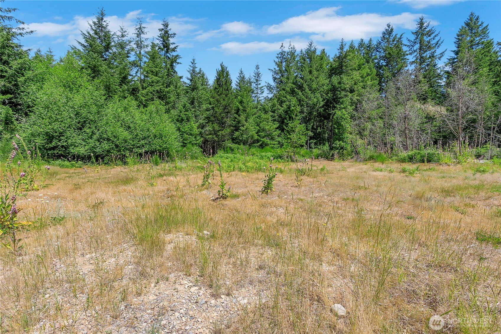 3791 Northeast Sand Hill Road Belfair, WA 98528 - Photo 27 of 32