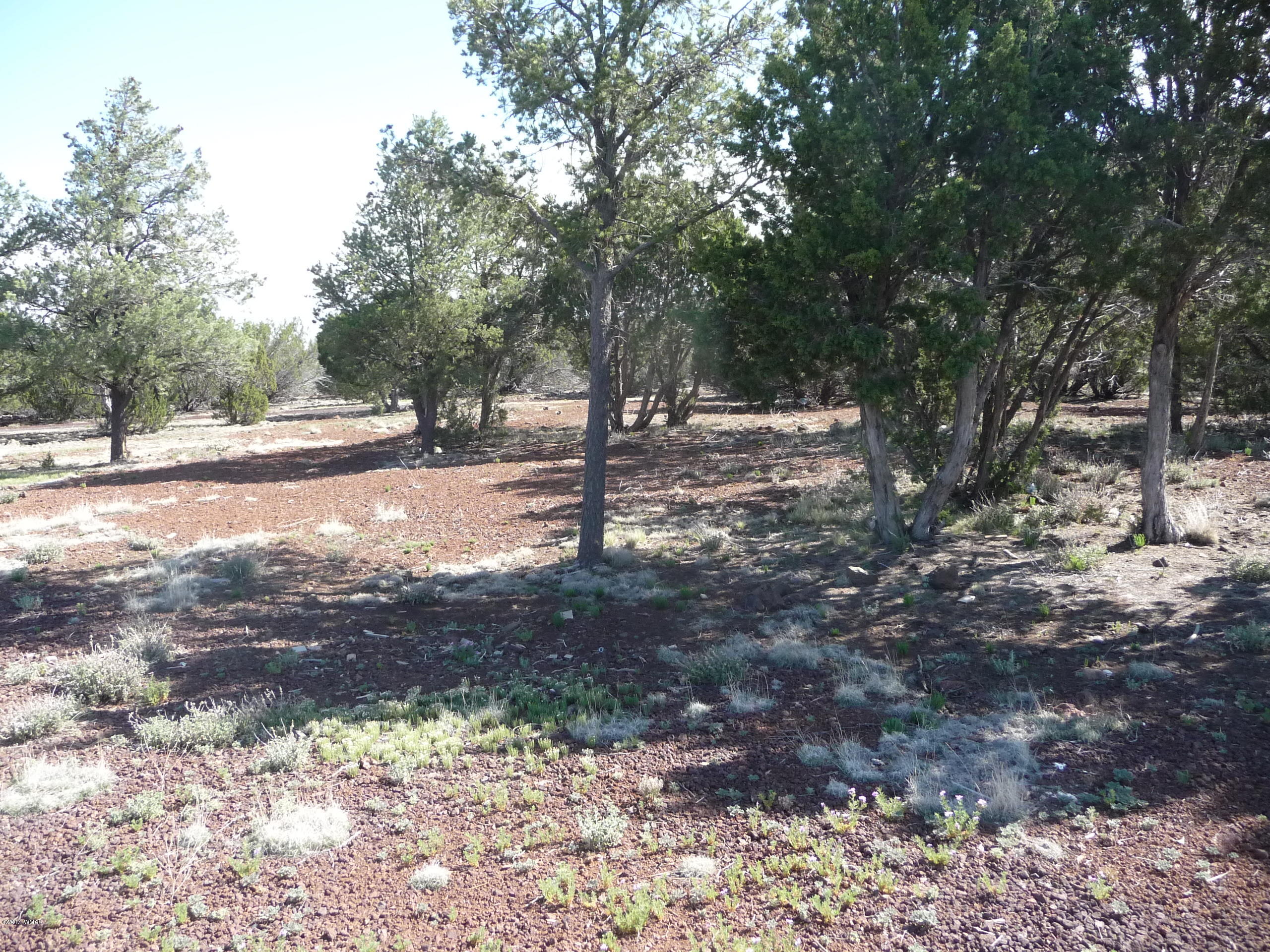 95 Cr Road Vernon, AZ 85940 - Photo 12 of 18