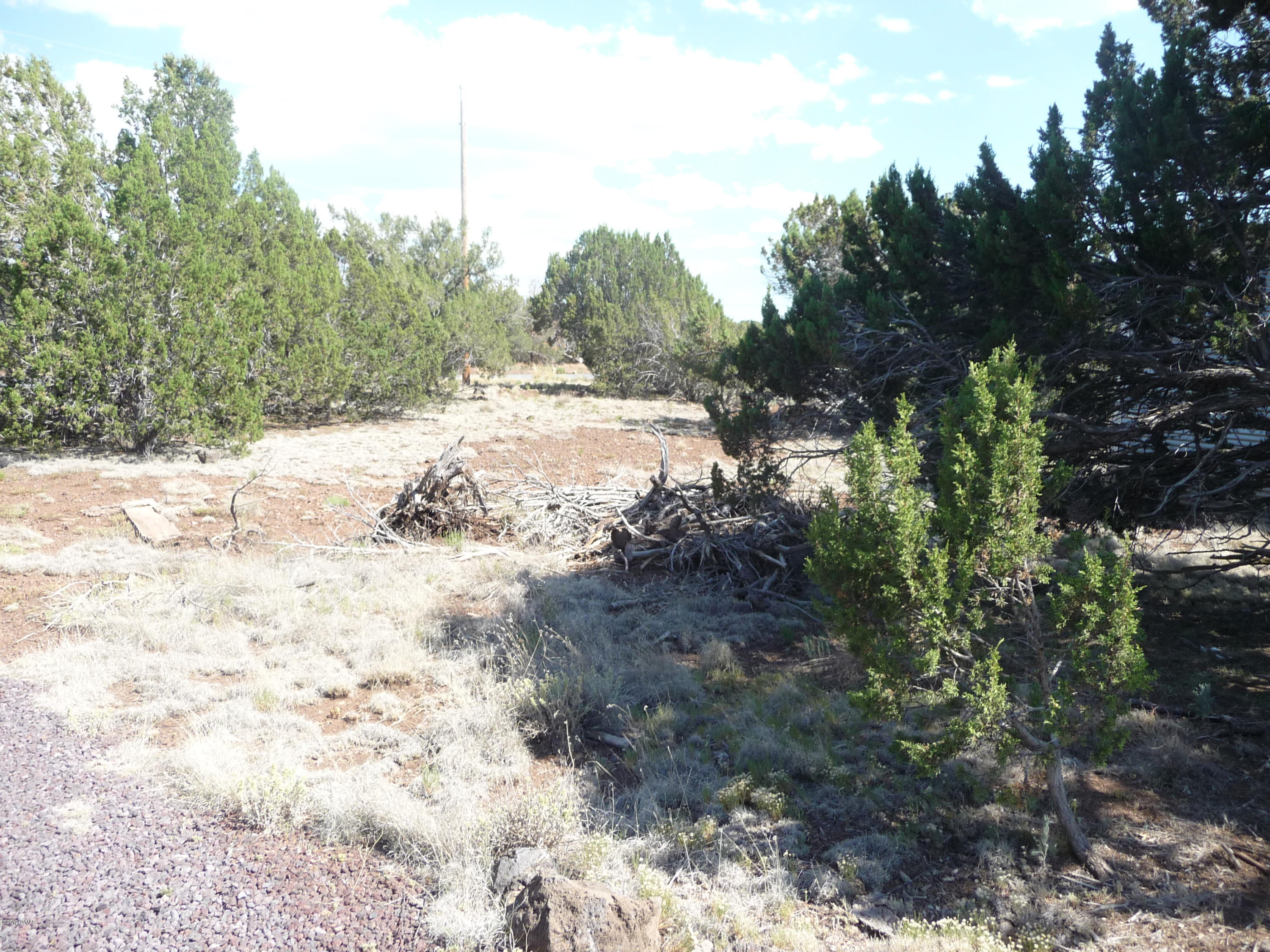 95 Cr Road Vernon, AZ 85940 - Photo 13 of 18