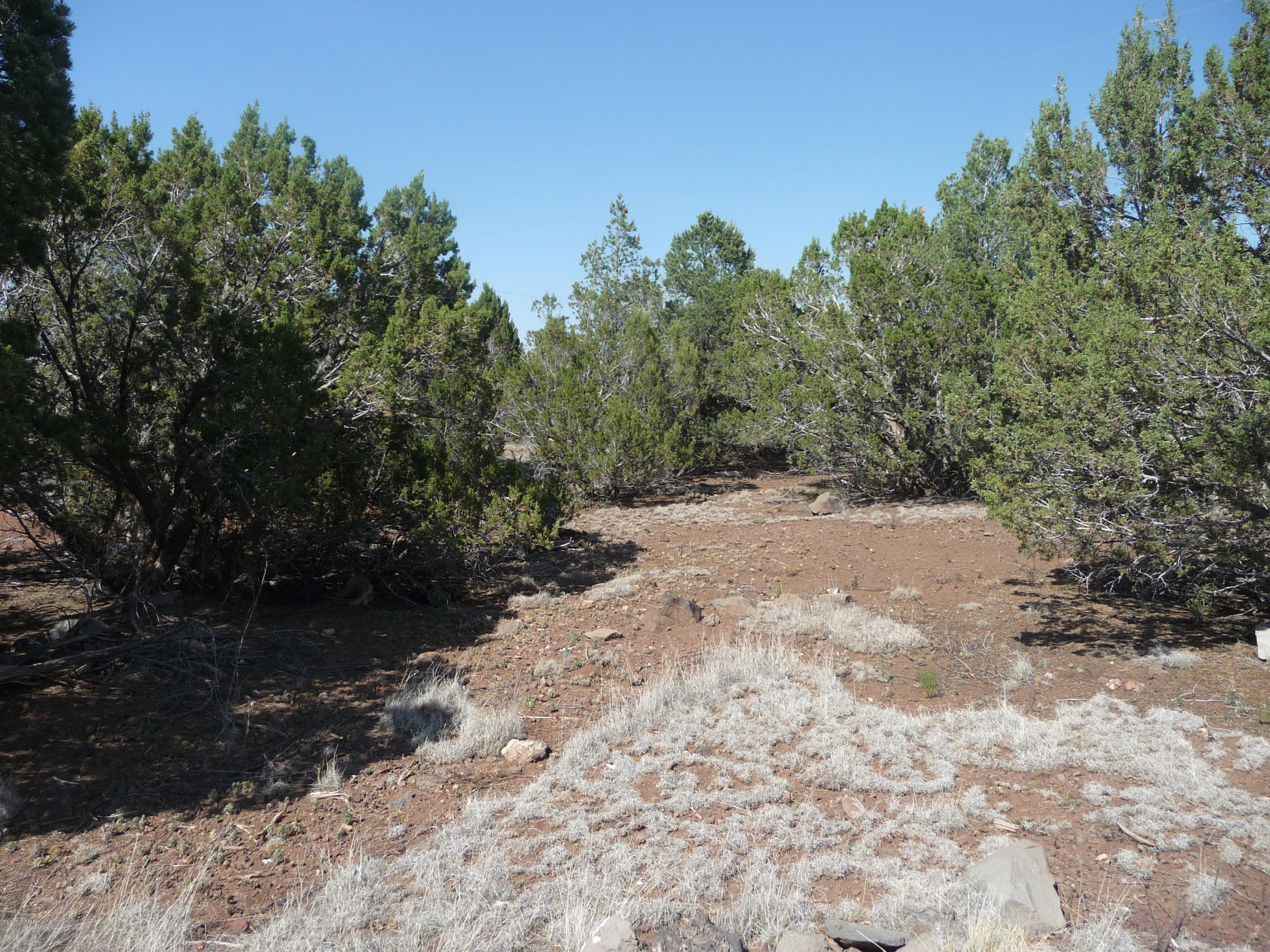 95 Cr Road Vernon, AZ 85940 - Photo 14 of 18