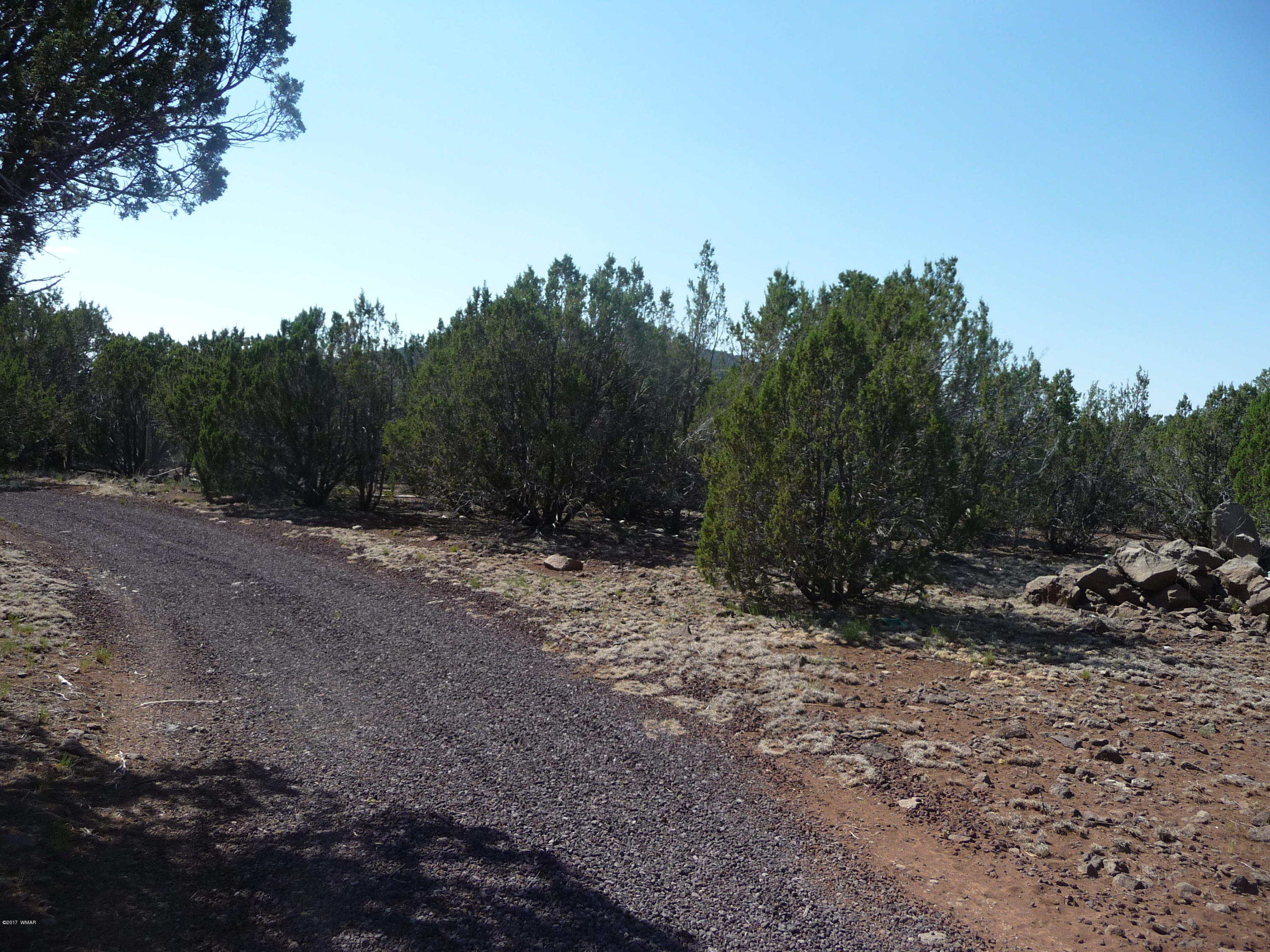 95 Cr Road Vernon, AZ 85940 - Photo 15 of 18