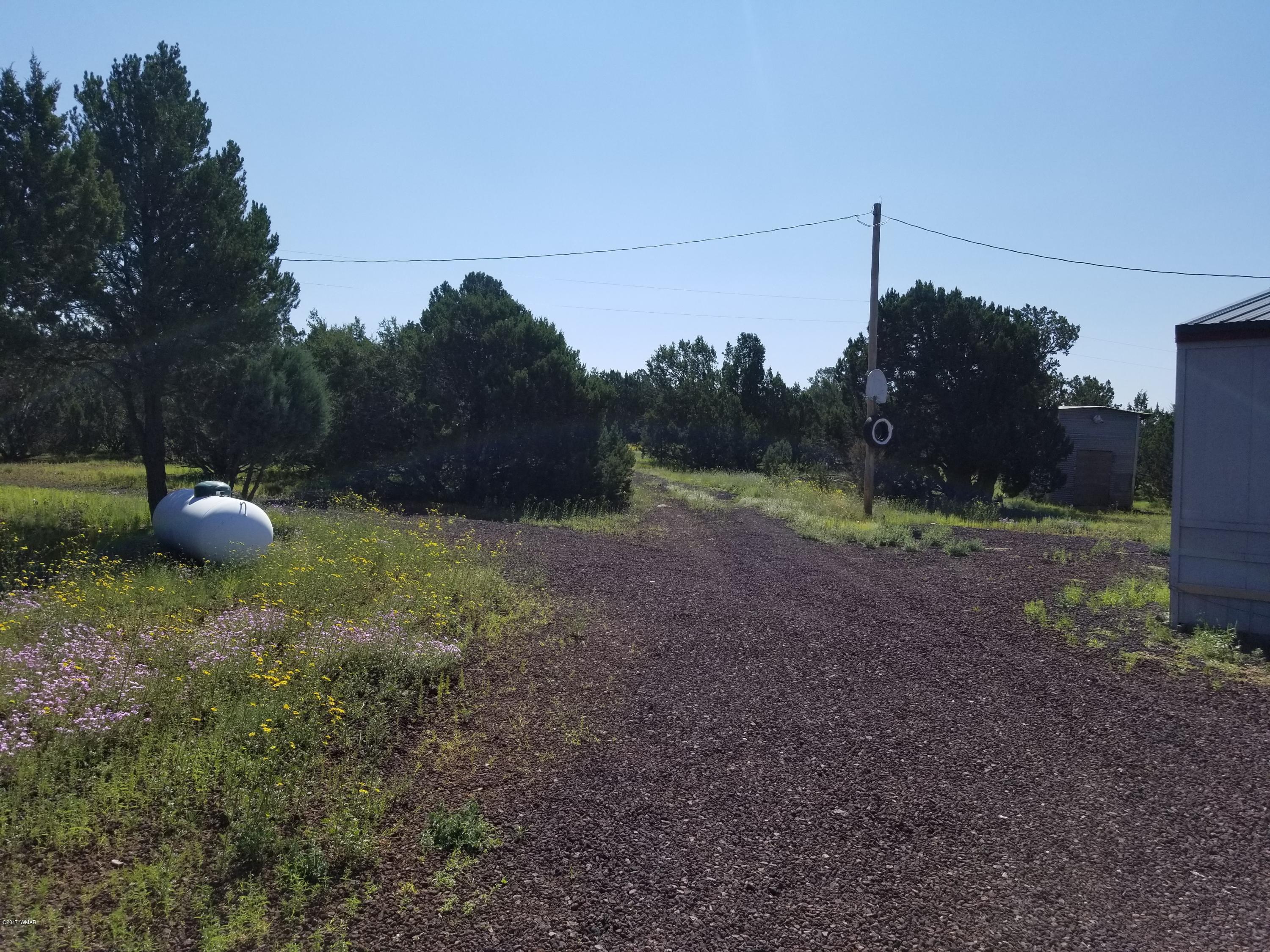 95 Cr Road Vernon, AZ 85940 - Photo 16 of 18