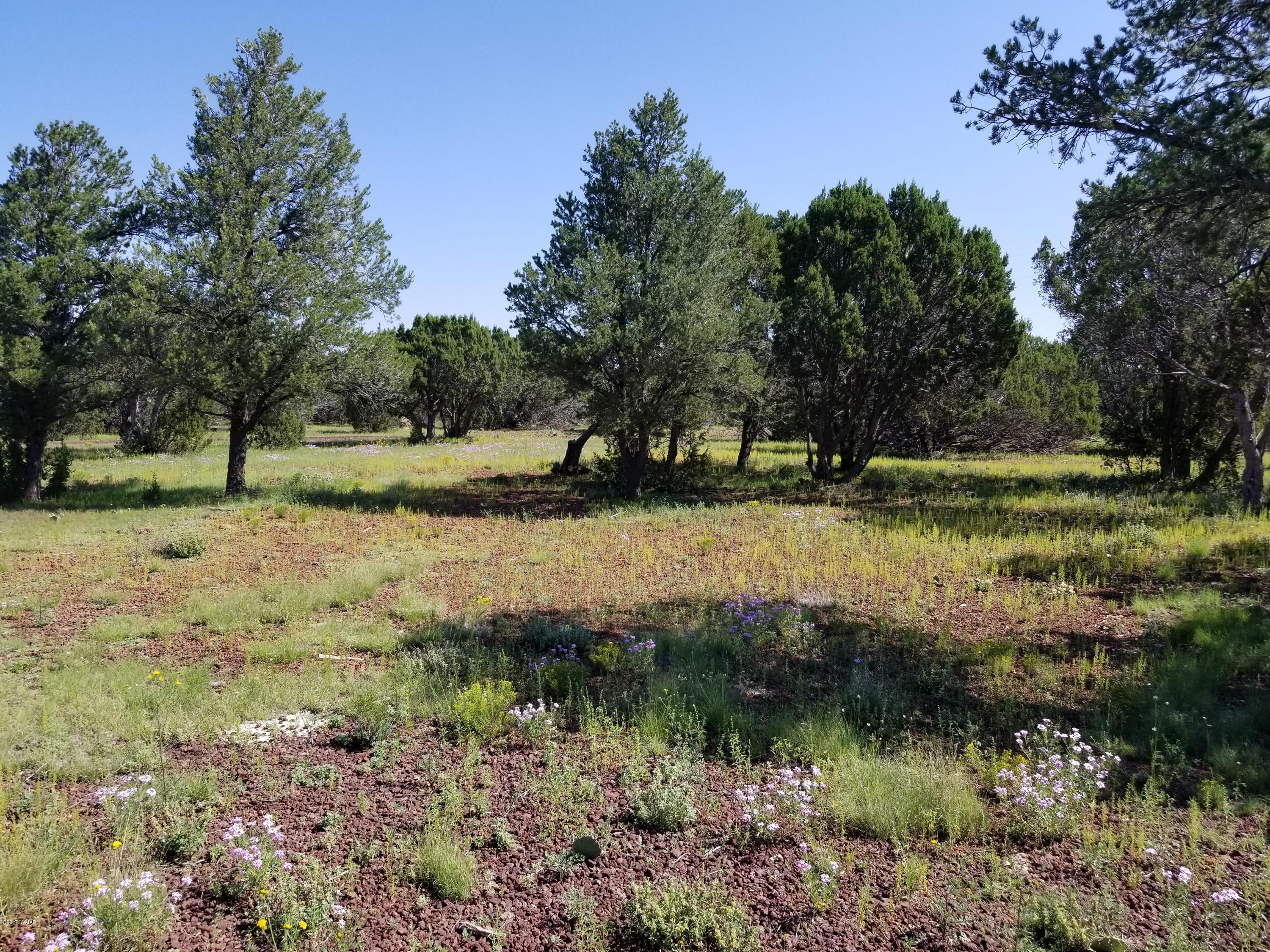 95 Cr Road Vernon, AZ 85940 - Photo 17 of 18