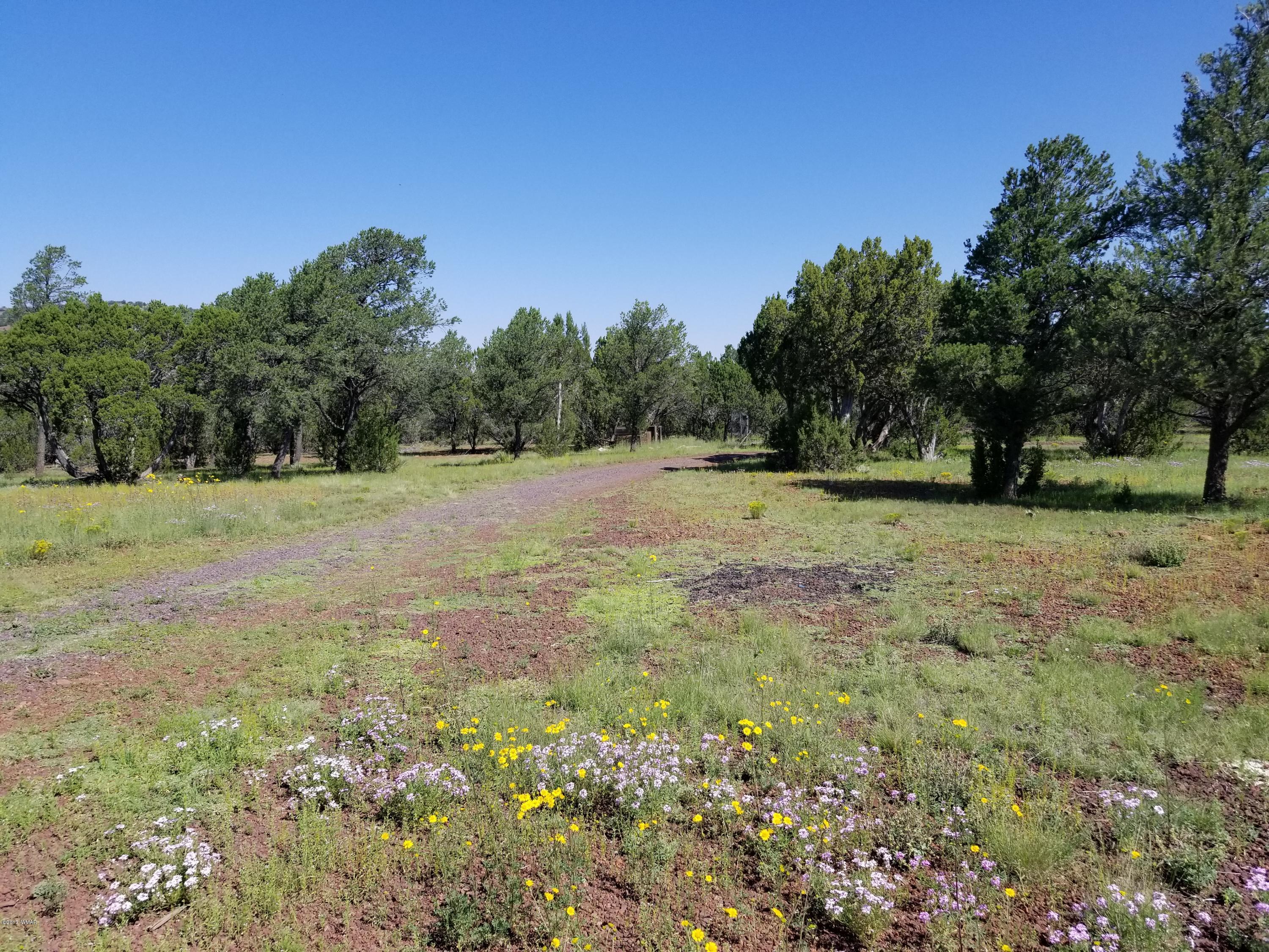 95 Cr Road Vernon, AZ 85940 - Photo 18 of 18