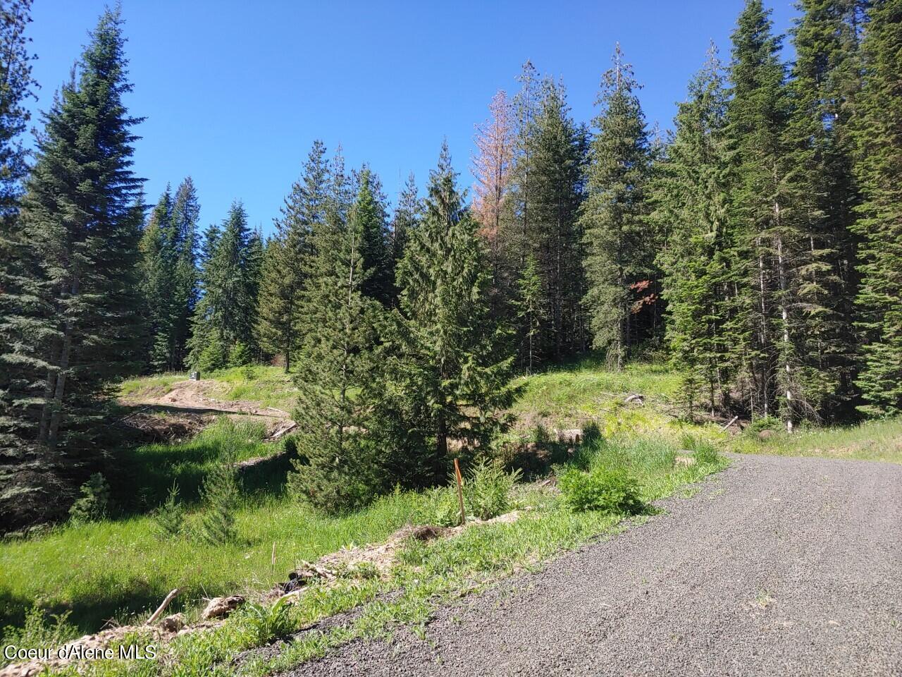 1 Railroad Grade Road St. Maries, ID 83861 - Photo 1 of 1 thumbnail_0617210940