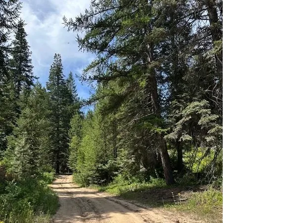 $135,000 | Undisclosed Address, Springdale, WA 99173