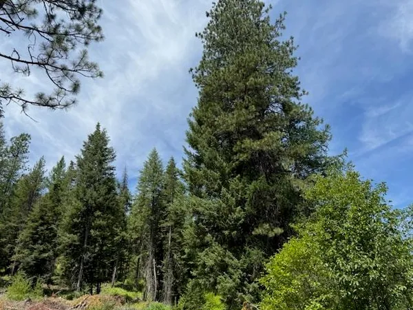 $135,000 | Undisclosed Address, Springdale, WA 99173