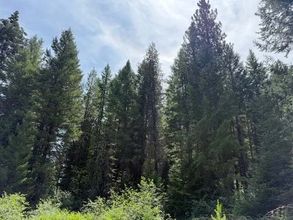 $135,000 | Undisclosed Address, Springdale, WA 99173