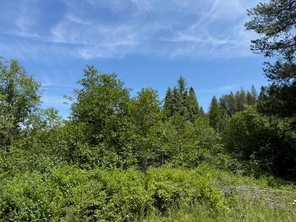 $135,000 | Undisclosed Address, Springdale, WA 99173