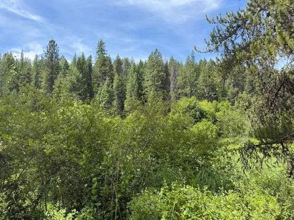 $135,000 | Undisclosed Address, Springdale, WA 99173