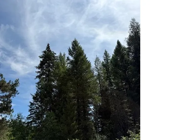 $135,000 | Undisclosed Address, Springdale, WA 99173