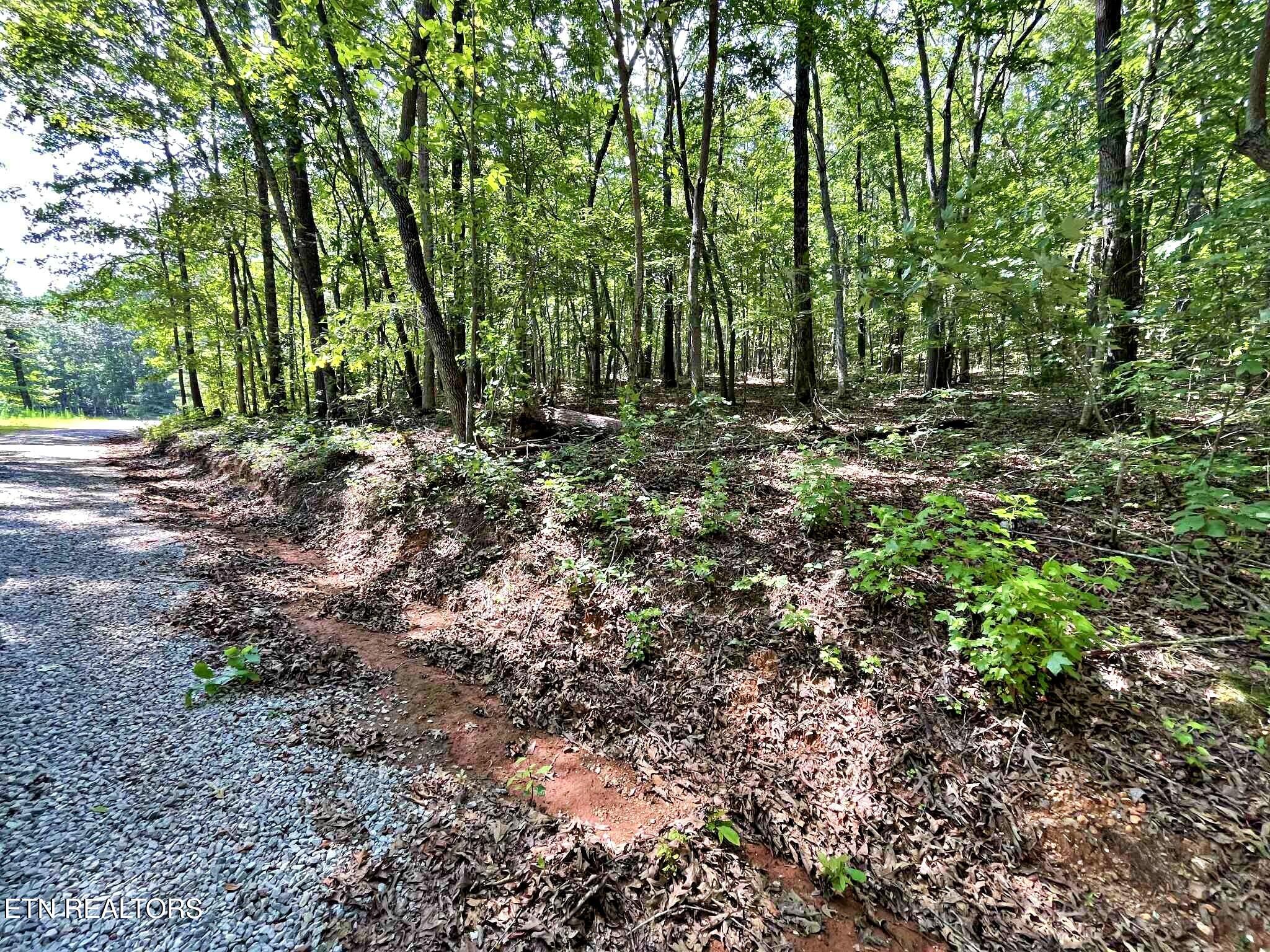 Lot 2 Raby Hollow Road Kingston, TN 37763 - Photo 8 of 13 653a3f86-c5f8-44ad-a5e2-afa7f4230931