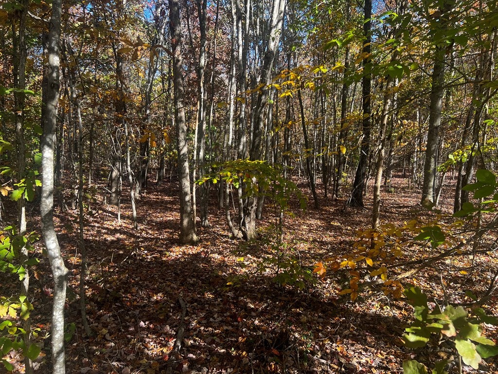 660 Shelton Store Road Wingina, VA 24599 - Photo 6 of 9 Gallery Image 6