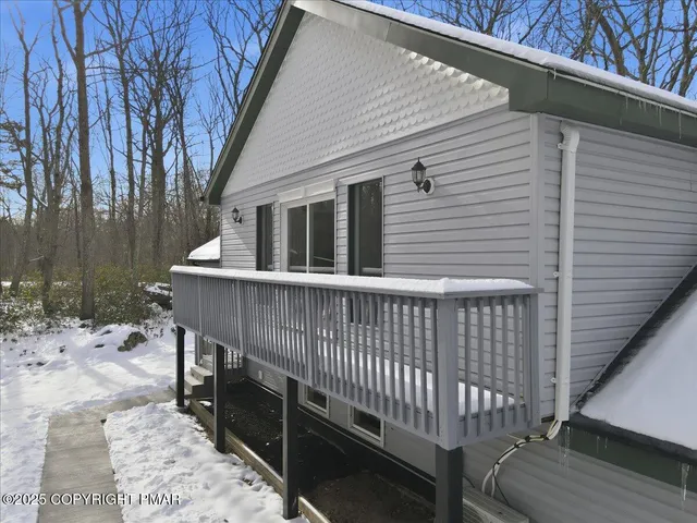 a street view with large trees
