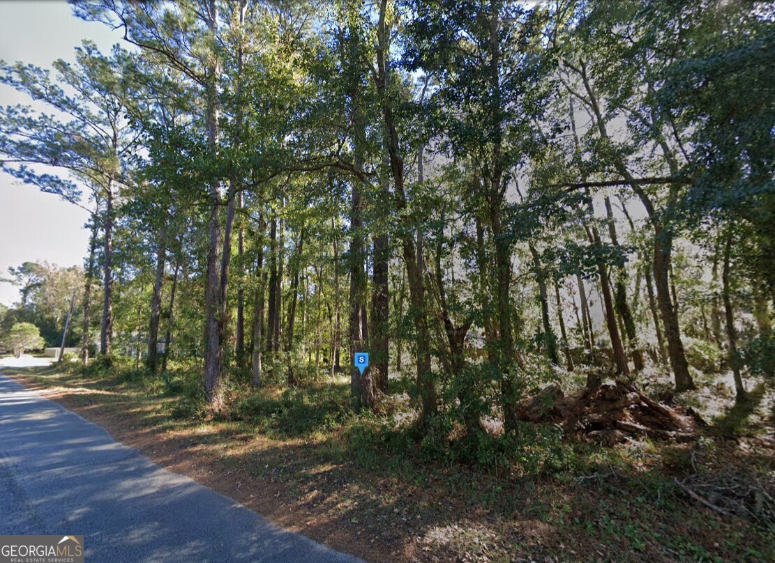 106 Don-El Street Brunswick, GA 31523 - Photo 2 of 5 a view of outdoor space and trees