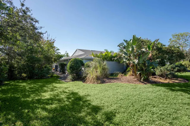 a view of a backyard with plants and a large tree