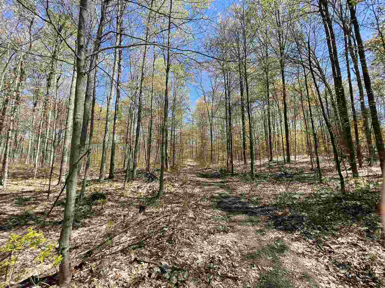 10-acres Inman Road Southwest Fife Lake, MI 49633 - Photo 16 of 32 Gallery Image 16