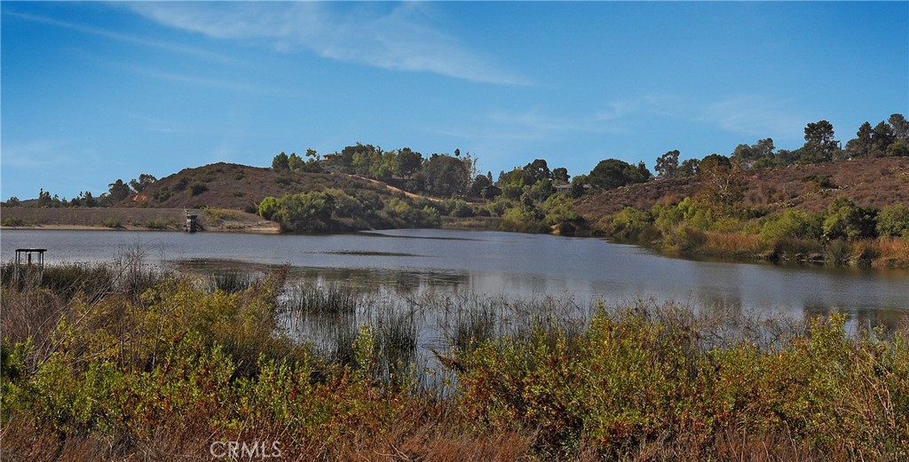 2981 Humeston Avenue Tustin, CA 92782 - Photo 51 of 52