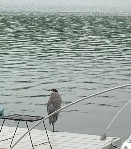 $998,000 | 32 Shore Drive, Tunkhannock, PA 18657