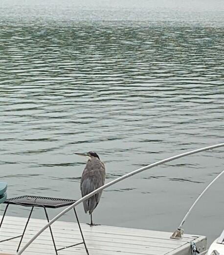 32 Shore Drive Tunkhannock, PA 18657 - Photo 12 of 30 IMG_9298