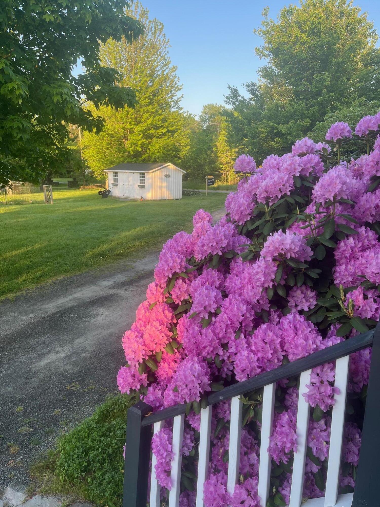 32 Shore Drive Tunkhannock, PA 18657 - Photo 23 of 30 IMG_9296