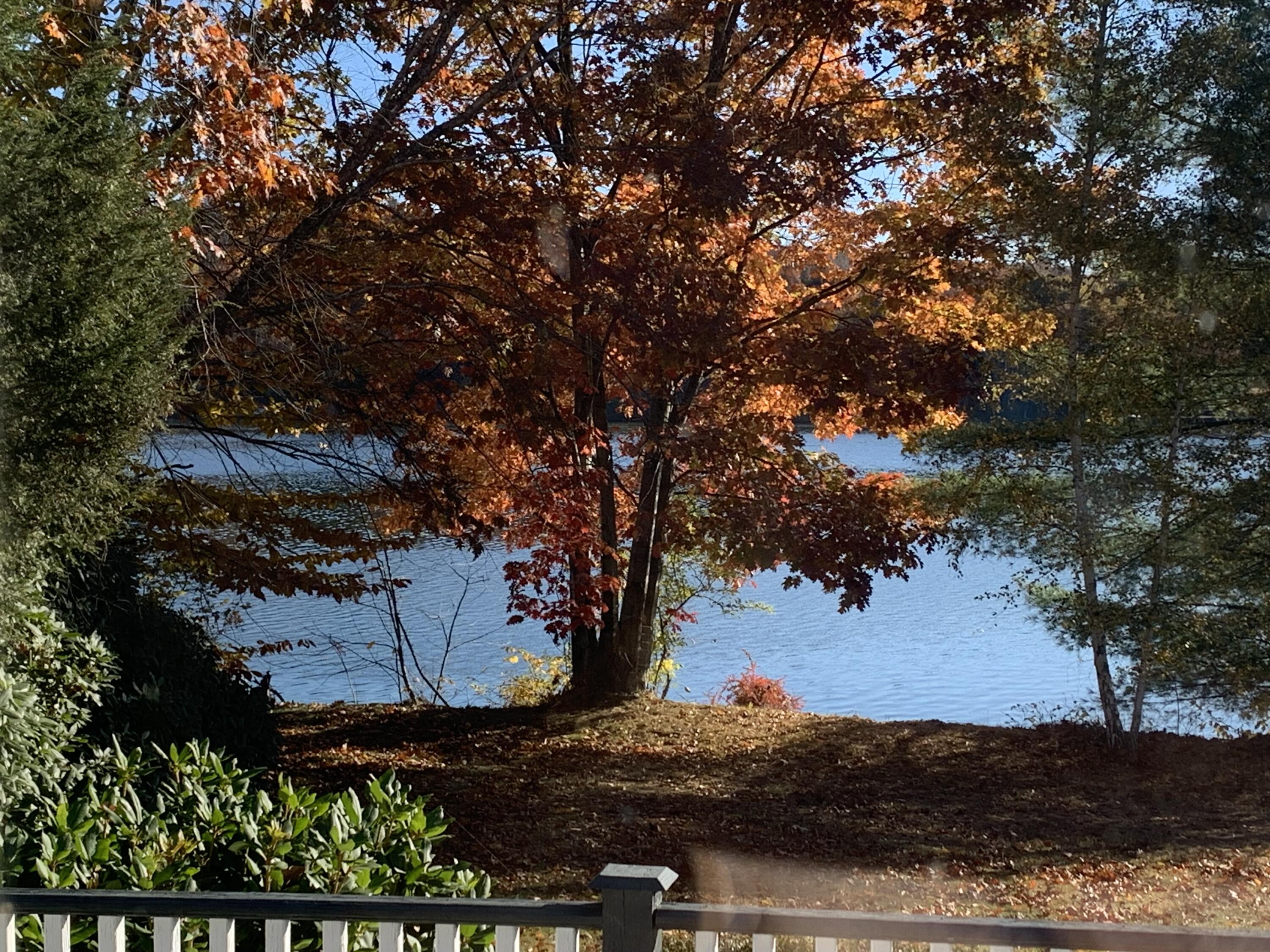 32 Shore Drive Tunkhannock, PA 18657 - Photo 27 of 30 IMG_9304